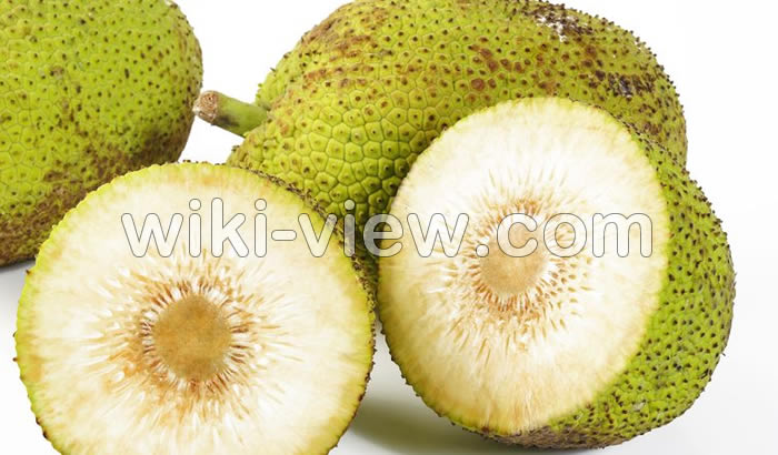 میوه نان, میوه نان چیست, خواص میوه نان, مضرات میوه نان, خواص میوه نان برای پوست و مو, پروتئین میوه نان, خواص میوه نان برای قلب, میوه نان ضد سرطان, خواص میوه نان برای دستگاه گوارش, میوه نان و کهیر
