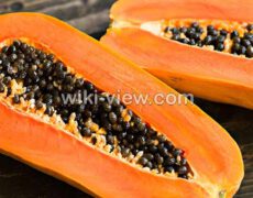پاپایا : خواص, مضرات و طبع پاپایا / پاپایا در بارداری / پاپایا برای سقط جنین پاپایا : خواص, مضرات و طبع پاپایا / پاپایا در بارداری / پاپایا برای سقط جنین