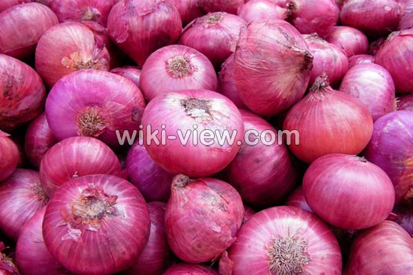 پیاز, خواص پیاز, مضرات پیاز, طبع پیاز, خواص پیاز برای مردان, خواص پیاز برای پوست, خواص پیاز برای مو, خواص پیاز پخته برای پوست, خواص پیاز برای سرماخوردگی, خواص پیاز زرد, خواص پیاز بخارپز پیاز, خواص پیاز, مضرات پیاز, طبع پیاز, خواص پیاز برای مردان, خواص پیاز برای پوست, خواص پیاز برای مو, خواص پیاز پخته برای پوست, خواص پیاز برای سرماخوردگی, خواص پیاز زرد, خواص پیاز بخارپز