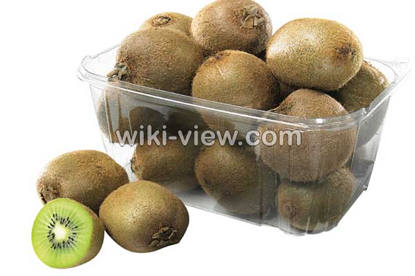کیوی, خواص کیوی, مضرات کیوی, طبع کیوی, خواص کیوی برای پوست, خواص کیوی برای چشم, خواص کیوی برای یبوست, خواص کیوی برای لاغری, خواص کیوی برای مو, کاشت کیوی, خواص کیوی خشک کیوی, خواص کیوی, مضرات کیوی, طبع کیوی, خواص کیوی برای پوست, خواص کیوی برای چشم, خواص کیوی برای یبوست, خواص کیوی برای لاغری, خواص کیوی برای مو, کاشت کیوی, خواص کیوی خشک