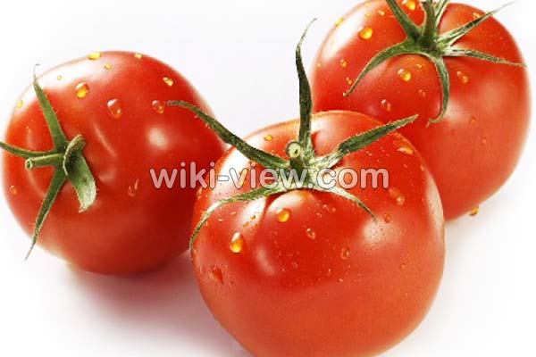 گوجه فرنگی, خواص گوجه فرنگی, مضرات گوجه فرنگی, طبع گوجه فرنگی, خواص گوجه فرنگی در بدنسازی, گوجه فرنگی در بارداری, گوجه فرنگی برای کلیه, خواص گوجه فرنگی برای قلب, خواص گوجه فرنگی در لاغری گوجه فرنگی, خواص گوجه فرنگی, مضرات گوجه فرنگی, طبع گوجه فرنگی, خواص گوجه فرنگی در بدنسازی, گوجه فرنگی در بارداری, گوجه فرنگی برای کلیه, خواص گوجه فرنگی برای قلب, خواص گوجه فرنگی در لاغری