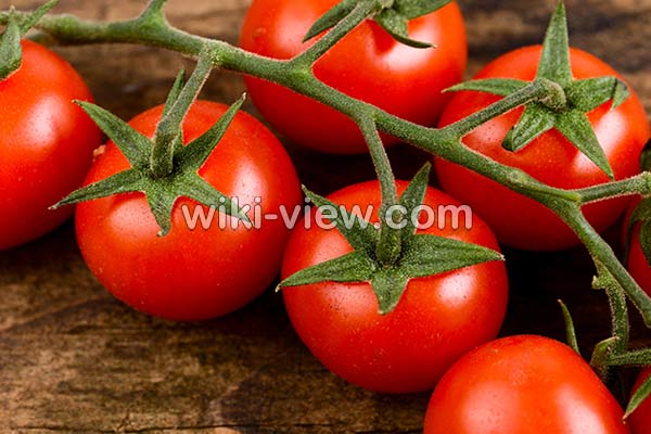 گوجه فرنگی, خواص گوجه فرنگی, مضرات گوجه فرنگی, طبع گوجه فرنگی, خواص گوجه فرنگی در بدنسازی, گوجه فرنگی در بارداری, گوجه فرنگی برای کلیه, خواص گوجه فرنگی برای قلب, خواص گوجه فرنگی در لاغری گوجه فرنگی, خواص گوجه فرنگی, مضرات گوجه فرنگی, طبع گوجه فرنگی, خواص گوجه فرنگی در بدنسازی, گوجه فرنگی در بارداری, گوجه فرنگی برای کلیه, خواص گوجه فرنگی برای قلب, خواص گوجه فرنگی در لاغری