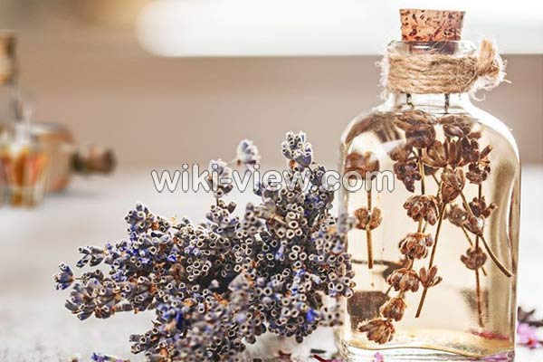 آروماتراپی,آروماتراپی چیست, آروماتراپی و رایحه درمانی, فواید آروماتراپی, خطرات آروماتراپی, آروماتراپی در بارداری, آروماتراپی در زایمان, آروماتراپی صورت, انواع رایحه درمانی آروماتراپی,آروماتراپی چیست, آروماتراپی و رایحه درمانی, فواید آروماتراپی, خطرات آروماتراپی, آروماتراپی در بارداری, آروماتراپی در زایمان, آروماتراپی صورت, انواع رایحه درمانی