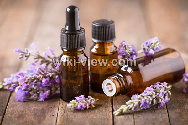 رایحه درمانی, رایحه درمانی چیست, فواید رایحه درمانی, مضرات رایحه درمانی, رایحه درمانی اسطوخودوس, چگونه رایحه درمانی کنیم, رایحه درمانی در طب اسلامی, آموزش رایحه درمانی, رایحه درمانی در اسلام رایحه درمانی, رایحه درمانی چیست, فواید رایحه درمانی, مضرات رایحه درمانی, رایحه درمانی اسطوخودوس, چگونه رایحه درمانی کنیم, رایحه درمانی در طب اسلامی, آموزش رایحه درمانی, رایحه درمانی در اسلام