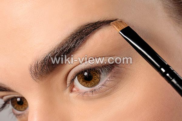 تقویت ابرو, تقویت ابرو با سیر, گردوی سوخته برای تقویت ابرو, تقویت ابرو با بادام سوخته, تقویت ابرو با قرص ال دی, روغن تقویت ابرو و مژه, تقویت ابرو در طب سنتی, بهترین روغن ها برای تقویت ابرو تقویت ابرو, تقویت ابرو با سیر, گردوی سوخته برای تقویت ابرو, تقویت ابرو با بادام سوخته, تقویت ابرو با قرص ال دی, روغن تقویت ابرو و مژه, تقویت ابرو در طب سنتی, بهترین روغن ها برای تقویت ابرو