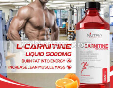 ال کارنیتین / بهترین L-carnitine های سال ۲۰۱۹ و ۲۰۲۰ / مکمل لاغری ال کارنیتین / بهترین L-carnitine های سال ۲۰۱۹ و ۲۰۲۰ / مکمل لاغری