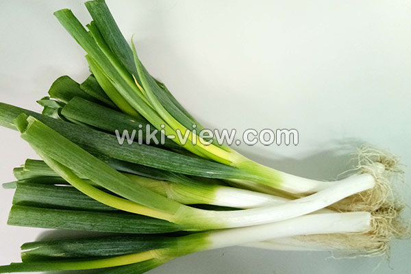 تره فرنگی, خواص تره فرنگی, مضرات تره فرنگی, طبع تره فرنگی, غذا با تره فرنگی, تفاوت تره فرنگی و پیازچه, فرق تره با تره فرنگی تره فرنگی, خواص تره فرنگی, مضرات تره فرنگی, طبع تره فرنگی, غذا با تره فرنگی, تفاوت تره فرنگی و پیازچه, فرق تره با تره فرنگی
