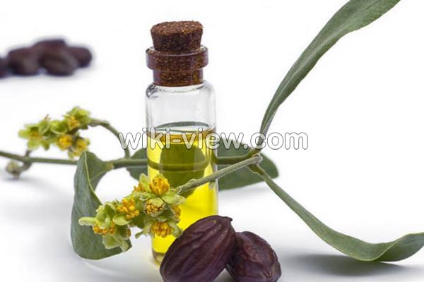روغن جوجوبا, خواص روغن جوجوبا, مضرات روغن جوجوبا, طبع روغن جوجوبا, روغن جوجوبا برای دور چشم, روغن جوجوبا برای مو, روغن جوجوبا برای پوست, روغن جوجوبا برای ناخن, روغن جوجوبا برای جوش, مشخصات روغن جوجوبا اصل, طرز تهیه روغن جوجوبا در منزل روغن جوجوبا, خواص روغن جوجوبا, مضرات روغن جوجوبا, طبع روغن جوجوبا, روغن جوجوبا برای دور چشم, روغن جوجوبا برای مو, روغن جوجوبا برای پوست, روغن جوجوبا برای ناخن, روغن جوجوبا برای جوش, مشخصات روغن جوجوبا اصل, طرز تهیه روغن جوجوبا در منزل