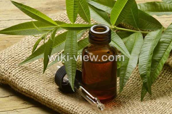 روغن درخت چای, خواص روغن درخت چای, مضرات روغن درخت چای, طبع روغن درخت چای, خواص روغن درخت چای برای جوش, خواص روغن درخت چای برای پوست, خواص روغن درخت چای برای مو, طرز استفاده روغن درخت چای برای جوش, ماسک روغن درخت چای, تشخیص روغن درخت چای اصل روغن درخت چای, خواص روغن درخت چای, مضرات روغن درخت چای, طبع روغن درخت چای, خواص روغن درخت چای برای جوش, خواص روغن درخت چای برای پوست, خواص روغن درخت چای برای مو, طرز استفاده روغن درخت چای برای جوش, ماسک روغن درخت چای, تشخیص روغن درخت چای اصل