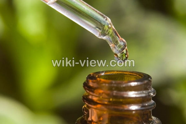 روغن درخت چای, خواص روغن درخت چای, مضرات روغن درخت چای, طبع روغن درخت چای, خواص روغن درخت چای برای جوش, خواص روغن درخت چای برای پوست, خواص روغن درخت چای برای مو, طرز استفاده روغن درخت چای برای جوش, ماسک روغن درخت چای, تشخیص روغن درخت چای اصل روغن درخت چای, خواص روغن درخت چای, مضرات روغن درخت چای, طبع روغن درخت چای, خواص روغن درخت چای برای جوش, خواص روغن درخت چای برای پوست, خواص روغن درخت چای برای مو, طرز استفاده روغن درخت چای برای جوش, ماسک روغن درخت چای, تشخیص روغن درخت چای اصل