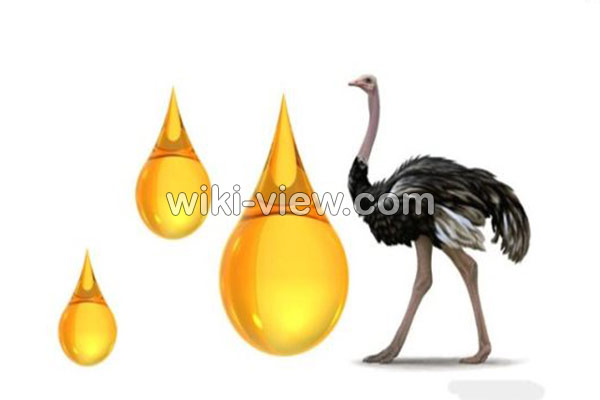روغن شترمرغ, خواص روغن شترمرغ, مضرات روغن شترمرغ, طبع روغن شترمرغ, روغن شترمرغ برای واژن, خواص روغن شترمرغ برای موخوره, خواص روغن شترمرغ برای ابرو, روغن شترمرغ اصل برای صورت, خواص روغن شترمرغ برای استخوان, تشخیص روغن شترمرغ واقعی