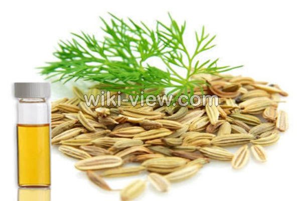روغن شوید, خواص روغن شوید, مضرات روغن شوید, طبع روغن شوید, خواص روغن شوید در طب سنتی, خواص روغن شوید برای پوست صورت روغن شوید, خواص روغن شوید, مضرات روغن شوید, طبع روغن شوید, خواص روغن شوید در طب سنتی, خواص روغن شوید برای پوست صورت