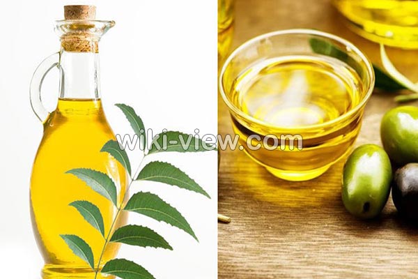 روغن چریش, خواص روغن چریش, مضرات روغن چریش, طبع روغن چریش, خواص روغن چریش برای مو, خواص روغن چریش برای پوست, روغن چریش در ناف, روغن چریش برای بواسیر, روغن چریش برای شپش, روغن درخت چریش را از کجا تهیه کنیم روغن چریش, خواص روغن چریش, مضرات روغن چریش, طبع روغن چریش, خواص روغن چریش برای مو, خواص روغن چریش برای پوست, روغن چریش در ناف, روغن چریش برای بواسیر, روغن چریش برای شپش, روغن درخت چریش را از کجا تهیه کنیم