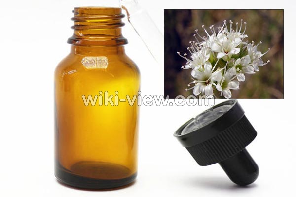 روغن کندش, خواص روغن کندش, مضرات روغن کندش, طبع روغن کندش, خواص روغن کندش برای پوست, خواص روغن کندش برای مو, روغن کندش برای مژه, روغن کندش برای ابرو, روغن کندش برای ریش, روش تشخیص روغن کندش اصل, طرز تهیه روغن کندش در خانه روغن کندش, خواص روغن کندش, مضرات روغن کندش, طبع روغن کندش, خواص روغن کندش برای پوست, خواص روغن کندش برای مو, روغن کندش برای مژه, روغن کندش برای ابرو, روغن کندش برای ریش, روش تشخیص روغن کندش اصل, طرز تهیه روغن کندش در خانه