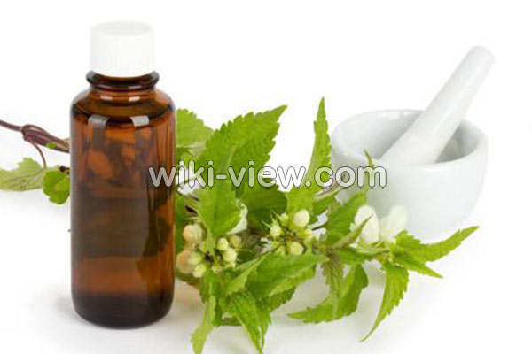 روغن گزنه, خواص روغن گزنه, مضرات روغن گزنه, طبع روغن گزنه, روغن گزنه برای مو, روغن گزنه برای پولیپ بینی, روغن گزنه برای ریش روغن گزنه, خواص روغن گزنه, مضرات روغن گزنه, طبع روغن گزنه, روغن گزنه برای مو, روغن گزنه برای پولیپ بینی, روغن گزنه برای ریش