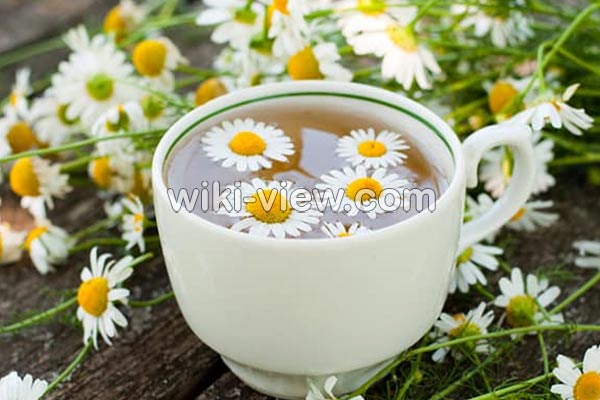 عرق بابونه, عرق بابونه برای چی خوبه, خواص عرق بابونه, مضرات عرق بابونه, طبع عرق بابونه, طریقه مصرف عرق بابونه, عرق بابونه برای چاقی, عرق بابونه برای مو, خواص عرق بابونه برای معده, خواص عرق بابونه برای پوست صورت, عرق بابونه برای کودکان عرق بابونه, عرق بابونه برای چی خوبه, خواص عرق بابونه, مضرات عرق بابونه, طبع عرق بابونه, طریقه مصرف عرق بابونه, عرق بابونه برای چاقی, عرق بابونه برای مو, خواص عرق بابونه برای معده, خواص عرق بابونه برای پوست صورت, عرق بابونه برای کودکان