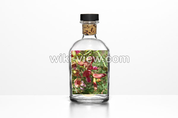 عرق خارشتر, خواص عرق خارشتر, مضرات عرق خارشتر, طبع عرق خارشتر, عرق خارشتر برای لاغری, خواص عرق خارشتر و خارخاسک, عرق خارشتر برای عفونت, موارد منع مصرف عرق خارشتر, طریقه مصرف عرق خارشتر برای دفع سنگ کلیه, خواص عرق خارشتر برای عفونت واژن, خواص عرق خارشتر برای کبد عرق خارشتر, خواص عرق خارشتر, مضرات عرق خارشتر, طبع عرق خارشتر, عرق خارشتر برای لاغری, خواص عرق خارشتر و خارخاسک, عرق خارشتر برای عفونت, موارد منع مصرف عرق خارشتر, طریقه مصرف عرق خارشتر برای دفع سنگ کلیه, خواص عرق خارشتر برای عفونت واژن, خواص عرق خارشتر برای کبد