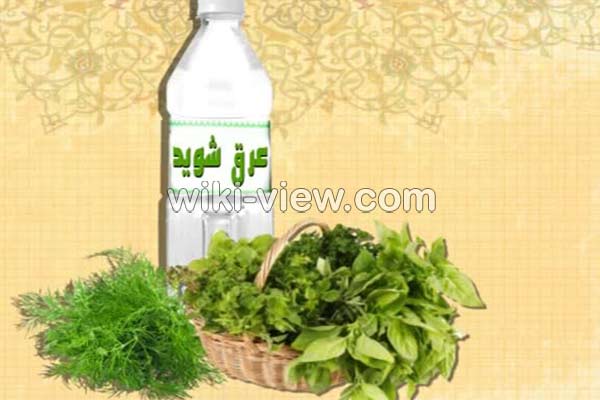 عرق شوید, خواص عرق شوید, مضرات عرق شوید, طبع عرق شوید, عرق شوید در بارداری, عرق شوید برای لاغری, عرق شوید برای چربی خون, عرق شوید برای فشار خون عرق شوید, خواص عرق شوید, مضرات عرق شوید, طبع عرق شوید, عرق شوید در بارداری, عرق شوید برای لاغری, عرق شوید برای چربی خون, عرق شوید برای فشار خون