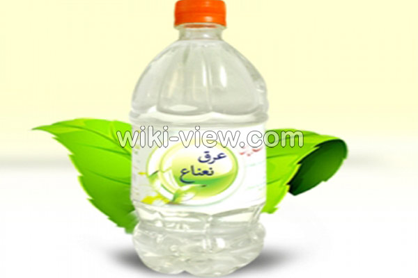 عرق نعناع, خواص عرق نعناع, مضرات عرق نعناع, طبع عرق نعناع, عرق نعناع و یبوست, خواص عرق نعناع برای لاغری, عرق نعناع دل درد, خواص عرق نعناع برای معده, عرق نعناع در بارداری, خواص عرق نعناع با بارهنگ, طرز تهیه عرق نعنا عرق نعناع, خواص عرق نعناع, مضرات عرق نعناع, طبع عرق نعناع, عرق نعناع و یبوست, خواص عرق نعناع برای لاغری, عرق نعناع دل درد, خواص عرق نعناع برای معده, عرق نعناع در بارداری, خواص عرق نعناع با بارهنگ, طرز تهیه عرق نعنا