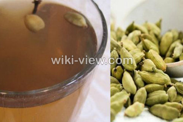 عرق هل, خواص عرق هل, مضرات عرق هل, طبع عرق هل, خواص عرق هل و گلاب, طرز تهیه عرق هل, خواص هل برای لاغری, طریقه مصرف هل عرق هل, خواص عرق هل, مضرات عرق هل, طبع عرق هل, خواص عرق هل و گلاب, طرز تهیه عرق هل, خواص هل برای لاغری, طریقه مصرف هل