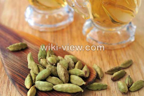 عرق هل, خواص عرق هل, مضرات عرق هل, طبع عرق هل, خواص عرق هل و گلاب, طرز تهیه عرق هل, خواص هل برای لاغری, طریقه مصرف هل عرق هل, خواص عرق هل, مضرات عرق هل, طبع عرق هل, خواص عرق هل و گلاب, طرز تهیه عرق هل, خواص هل برای لاغری, طریقه مصرف هل