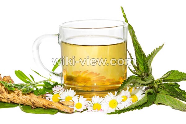 عرق گزنه, خواص عرق گزنه, مضرات عرق گزنه, طبع عرق گزنه, خواص عرق گزنه برای قاعدگی, خواص عرق گزنه برای پروستات, خواص عرق گزنه برای لاغری, خواص عرق گزنه برای قند, طریقه مصرف عرق گزنه برای پروستات عرق گزنه, خواص عرق گزنه, مضرات عرق گزنه, طبع عرق گزنه, خواص عرق گزنه برای قاعدگی, خواص عرق گزنه برای پروستات, خواص عرق گزنه برای لاغری, خواص عرق گزنه برای قند, طریقه مصرف عرق گزنه برای پروستات