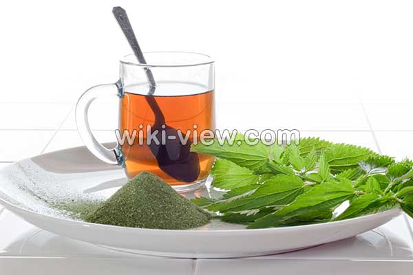 عرق گزنه, خواص عرق گزنه, مضرات عرق گزنه, طبع عرق گزنه, خواص عرق گزنه برای قاعدگی, خواص عرق گزنه برای پروستات, خواص عرق گزنه برای لاغری, خواص عرق گزنه برای قند, طریقه مصرف عرق گزنه برای پروستات عرق گزنه, خواص عرق گزنه, مضرات عرق گزنه, طبع عرق گزنه, خواص عرق گزنه برای قاعدگی, خواص عرق گزنه برای پروستات, خواص عرق گزنه برای لاغری, خواص عرق گزنه برای قند, طریقه مصرف عرق گزنه برای پروستات