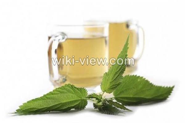 عرق گزنه, خواص عرق گزنه, مضرات عرق گزنه, طبع عرق گزنه, خواص عرق گزنه برای قاعدگی, خواص عرق گزنه برای پروستات, خواص عرق گزنه برای لاغری, خواص عرق گزنه برای قند, طریقه مصرف عرق گزنه برای پروستات عرق گزنه, خواص عرق گزنه, مضرات عرق گزنه, طبع عرق گزنه, خواص عرق گزنه برای قاعدگی, خواص عرق گزنه برای پروستات, خواص عرق گزنه برای لاغری, خواص عرق گزنه برای قند, طریقه مصرف عرق گزنه برای پروستات