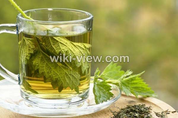 عرق گزنه, خواص عرق گزنه, مضرات عرق گزنه, طبع عرق گزنه, خواص عرق گزنه برای قاعدگی, خواص عرق گزنه برای پروستات, خواص عرق گزنه برای لاغری, خواص عرق گزنه برای قند, طریقه مصرف عرق گزنه برای پروستات عرق گزنه, خواص عرق گزنه, مضرات عرق گزنه, طبع عرق گزنه, خواص عرق گزنه برای قاعدگی, خواص عرق گزنه برای پروستات, خواص عرق گزنه برای لاغری, خواص عرق گزنه برای قند, طریقه مصرف عرق گزنه برای پروستات