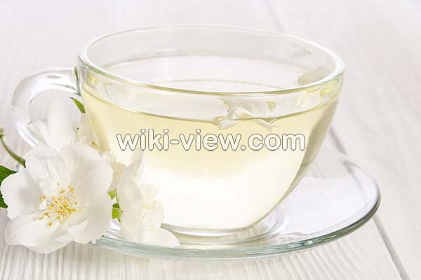 چای سفید, چای سفید چیست, خواص چای سفید, مضرات چای سفید, طبع چای سفید, بهترین زمان خوردن چای سفید, خواص چای سفید برای لاغری, قیمت چای سفید چای سفید, چای سفید چیست, خواص چای سفید, مضرات چای سفید, طبع چای سفید, بهترین زمان خوردن چای سفید, خواص چای سفید برای لاغری, قیمت چای سفید