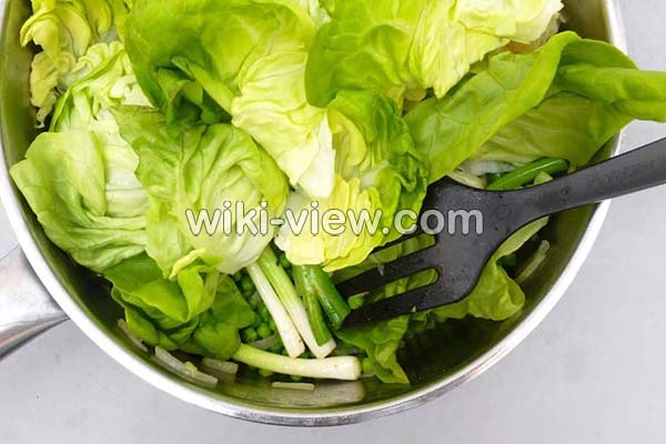 کاهو, خواص کاهو, مضرات کاهو, طبع کاهو, کاهو در بارداری, خواص کاهو در لاغری, خواص کاهو برای کبد چرب, خواص کاهو فرانسوی, خواص کاهو چینی کاهو, خواص کاهو, مضرات کاهو, طبع کاهو, کاهو در بارداری, خواص کاهو در لاغری, خواص کاهو برای کبد چرب, خواص کاهو فرانسوی, خواص کاهو چینی