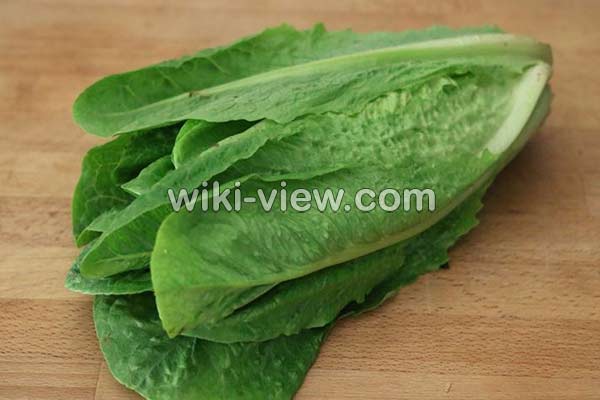 کاهو, خواص کاهو, مضرات کاهو, طبع کاهو, کاهو در بارداری, خواص کاهو در لاغری, خواص کاهو برای کبد چرب, خواص کاهو فرانسوی, خواص کاهو چینی کاهو, خواص کاهو, مضرات کاهو, طبع کاهو, کاهو در بارداری, خواص کاهو در لاغری, خواص کاهو برای کبد چرب, خواص کاهو فرانسوی, خواص کاهو چینی