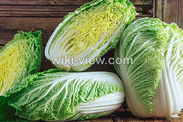 کاهو, خواص کاهو, مضرات کاهو, طبع کاهو, کاهو در بارداری, خواص کاهو در لاغری, خواص کاهو برای کبد چرب, خواص کاهو فرانسوی, خواص کاهو چینی کاهو, خواص کاهو, مضرات کاهو, طبع کاهو, کاهو در بارداری, خواص کاهو در لاغری, خواص کاهو برای کبد چرب, خواص کاهو فرانسوی, خواص کاهو چینی