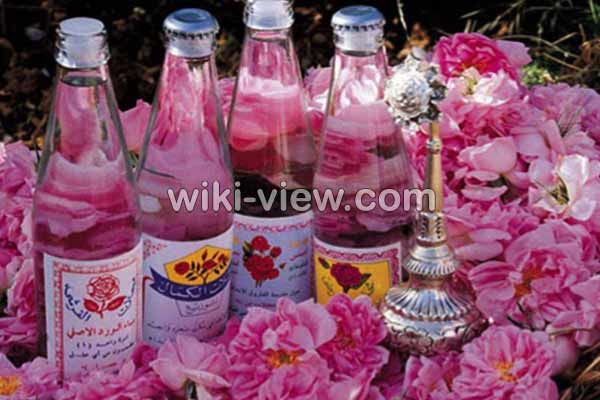 گلاب, خواص گلاب, مضرات گلاب, طبع گلاب سرد یا گرم, خواص گلاب برای پوست, خواص گلاب برای مو, خواص گلاب برای لاغری, خواص گلاب برای یبوست, خواص گلاب برای رحم, خواص گلاب برای اعصاب, خواص گلاب برای استرس, خواص گلاب در بارداری گلاب, خواص گلاب, مضرات گلاب, طبع گلاب سرد یا گرم, خواص گلاب برای پوست, خواص گلاب برای مو, خواص گلاب برای لاغری, خواص گلاب برای یبوست, خواص گلاب برای رحم, خواص گلاب برای اعصاب, خواص گلاب برای استرس, خواص گلاب در بارداری