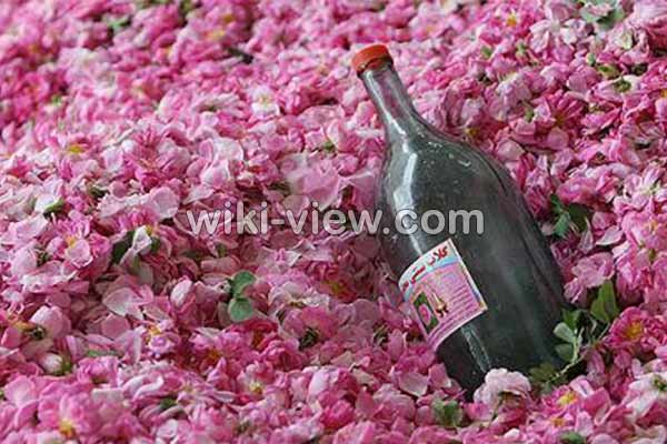 گلاب, خواص گلاب, مضرات گلاب, طبع گلاب سرد یا گرم, خواص گلاب برای پوست, خواص گلاب برای مو, خواص گلاب برای لاغری, خواص گلاب برای یبوست, خواص گلاب برای رحم, خواص گلاب برای اعصاب, خواص گلاب برای استرس, خواص گلاب در بارداری گلاب, خواص گلاب, مضرات گلاب, طبع گلاب سرد یا گرم, خواص گلاب برای پوست, خواص گلاب برای مو, خواص گلاب برای لاغری, خواص گلاب برای یبوست, خواص گلاب برای رحم, خواص گلاب برای اعصاب, خواص گلاب برای استرس, خواص گلاب در بارداری