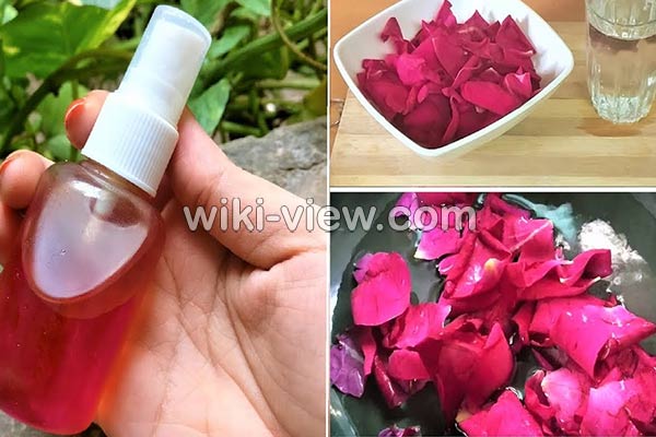گلاب, خواص گلاب, مضرات گلاب, طبع گلاب سرد یا گرم, خواص گلاب برای پوست, خواص گلاب برای مو, خواص گلاب برای لاغری, خواص گلاب برای یبوست, خواص گلاب برای رحم, خواص گلاب برای اعصاب, خواص گلاب برای استرس, خواص گلاب در بارداری گلاب, خواص گلاب, مضرات گلاب, طبع گلاب سرد یا گرم, خواص گلاب برای پوست, خواص گلاب برای مو, خواص گلاب برای لاغری, خواص گلاب برای یبوست, خواص گلاب برای رحم, خواص گلاب برای اعصاب, خواص گلاب برای استرس, خواص گلاب در بارداری