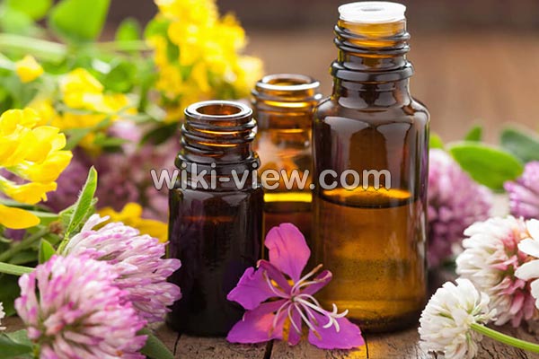 رایحه درمانی, رایحه درمانی چیست, فواید رایحه درمانی, مضرات رایحه درمانی, رایحه درمانی اسطوخودوس, چگونه رایحه درمانی کنیم, رایحه درمانی در طب اسلامی, آموزش رایحه درمانی, رایحه درمانی در اسلام رایحه درمانی, رایحه درمانی چیست, فواید رایحه درمانی, مضرات رایحه درمانی, رایحه درمانی اسطوخودوس, چگونه رایحه درمانی کنیم, رایحه درمانی در طب اسلامی, آموزش رایحه درمانی, رایحه درمانی در اسلام