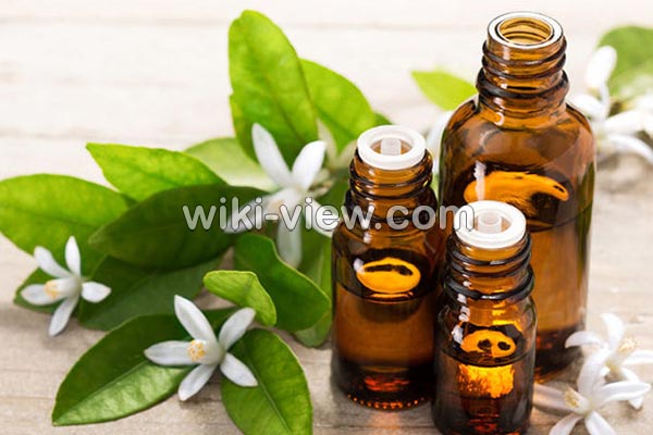 رایحه درمانی, رایحه درمانی چیست, فواید رایحه درمانی, مضرات رایحه درمانی, رایحه درمانی اسطوخودوس, چگونه رایحه درمانی کنیم, رایحه درمانی در طب اسلامی, آموزش رایحه درمانی, رایحه درمانی در اسلام رایحه درمانی, رایحه درمانی چیست, فواید رایحه درمانی, مضرات رایحه درمانی, رایحه درمانی اسطوخودوس, چگونه رایحه درمانی کنیم, رایحه درمانی در طب اسلامی, آموزش رایحه درمانی, رایحه درمانی در اسلام