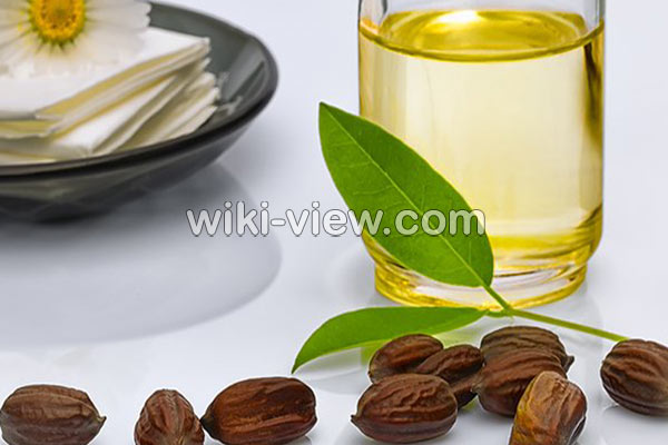 روغن جوجوبا, خواص روغن جوجوبا, مضرات روغن جوجوبا, طبع روغن جوجوبا, روغن جوجوبا برای دور چشم, روغن جوجوبا برای مو, روغن جوجوبا برای پوست, روغن جوجوبا برای ناخن, روغن جوجوبا برای جوش, مشخصات روغن جوجوبا اصل, طرز تهیه روغن جوجوبا در منزل روغن جوجوبا, خواص روغن جوجوبا, مضرات روغن جوجوبا, طبع روغن جوجوبا, روغن جوجوبا برای دور چشم, روغن جوجوبا برای مو, روغن جوجوبا برای پوست, روغن جوجوبا برای ناخن, روغن جوجوبا برای جوش, مشخصات روغن جوجوبا اصل, طرز تهیه روغن جوجوبا در منزل