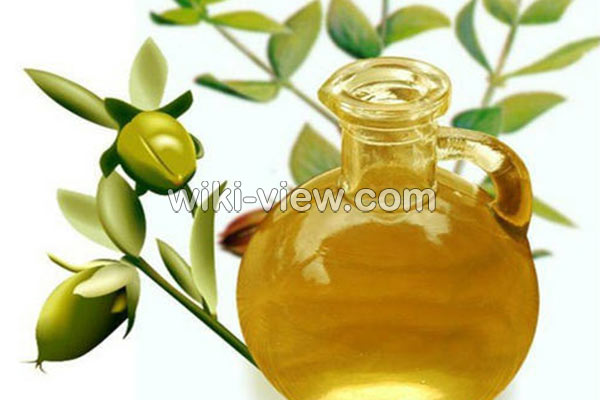 روغن جوجوبا, خواص روغن جوجوبا, مضرات روغن جوجوبا, طبع روغن جوجوبا, روغن جوجوبا برای دور چشم, روغن جوجوبا برای مو, روغن جوجوبا برای پوست, روغن جوجوبا برای ناخن, روغن جوجوبا برای جوش, مشخصات روغن جوجوبا اصل, طرز تهیه روغن جوجوبا در منزل روغن جوجوبا, خواص روغن جوجوبا, مضرات روغن جوجوبا, طبع روغن جوجوبا, روغن جوجوبا برای دور چشم, روغن جوجوبا برای مو, روغن جوجوبا برای پوست, روغن جوجوبا برای ناخن, روغن جوجوبا برای جوش, مشخصات روغن جوجوبا اصل, طرز تهیه روغن جوجوبا در منزل
