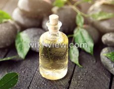 روغن درخت چای : خواص, مضرات و طبع روغن درخت چای