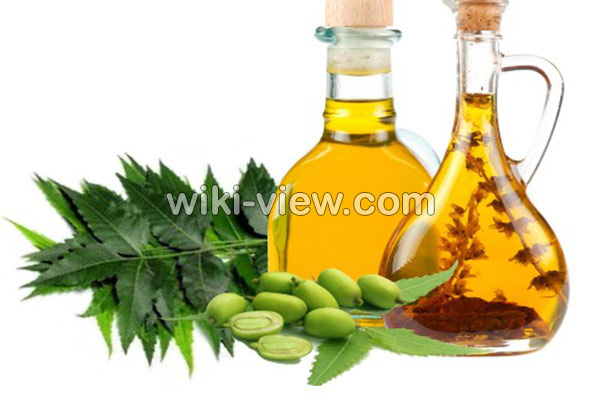 روغن چریش, خواص روغن چریش, مضرات روغن چریش, طبع روغن چریش, خواص روغن چریش برای مو, خواص روغن چریش برای پوست, روغن چریش در ناف, روغن چریش برای بواسیر, روغن چریش برای شپش, روغن درخت چریش را از کجا تهیه کنیم روغن چریش, خواص روغن چریش, مضرات روغن چریش, طبع روغن چریش, خواص روغن چریش برای مو, خواص روغن چریش برای پوست, روغن چریش در ناف, روغن چریش برای بواسیر, روغن چریش برای شپش, روغن درخت چریش را از کجا تهیه کنیم