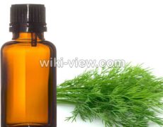 روغن شوید : خواص, مضرات و طبع روغن شوید / خواص روغن شوید در طب سنتی