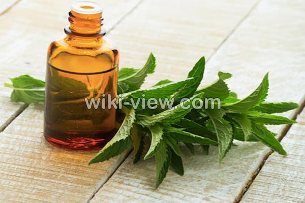 روغن چریش, خواص روغن چریش, مضرات روغن چریش, طبع روغن چریش, خواص روغن چریش برای مو, خواص روغن چریش برای پوست, روغن چریش در ناف, روغن چریش برای بواسیر, روغن چریش برای شپش, روغن درخت چریش را از کجا تهیه کنیم روغن چریش, خواص روغن چریش, مضرات روغن چریش, طبع روغن چریش, خواص روغن چریش برای مو, خواص روغن چریش برای پوست, روغن چریش در ناف, روغن چریش برای بواسیر, روغن چریش برای شپش, روغن درخت چریش را از کجا تهیه کنیم