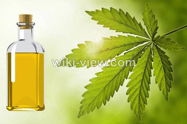 روغن چریش, خواص روغن چریش, مضرات روغن چریش, طبع روغن چریش, خواص روغن چریش برای مو, خواص روغن چریش برای پوست, روغن چریش در ناف, روغن چریش برای بواسیر, روغن چریش برای شپش, روغن درخت چریش را از کجا تهیه کنیم روغن چریش, خواص روغن چریش, مضرات روغن چریش, طبع روغن چریش, خواص روغن چریش برای مو, خواص روغن چریش برای پوست, روغن چریش در ناف, روغن چریش برای بواسیر, روغن چریش برای شپش, روغن درخت چریش را از کجا تهیه کنیم