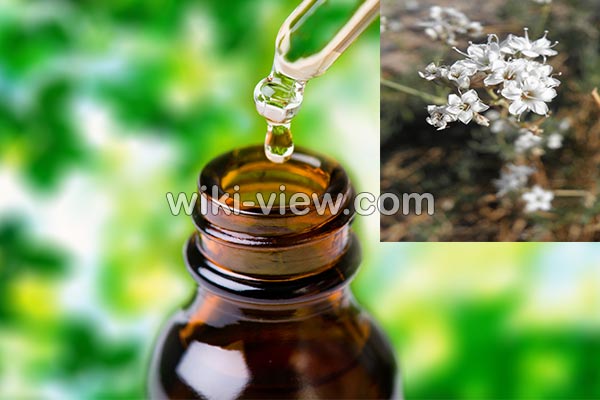 روغن کندش, خواص روغن کندش, مضرات روغن کندش, طبع روغن کندش, خواص روغن کندش برای پوست, خواص روغن کندش برای مو, روغن کندش برای مژه, روغن کندش برای ابرو, روغن کندش برای ریش, روش تشخیص روغن کندش اصل, طرز تهیه روغن کندش در خانه روغن کندش, خواص روغن کندش, مضرات روغن کندش, طبع روغن کندش, خواص روغن کندش برای پوست, خواص روغن کندش برای مو, روغن کندش برای مژه, روغن کندش برای ابرو, روغن کندش برای ریش, روش تشخیص روغن کندش اصل, طرز تهیه روغن کندش در خانه