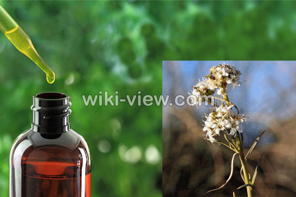 روغن کندش, خواص روغن کندش, مضرات روغن کندش, طبع روغن کندش, خواص روغن کندش برای پوست, خواص روغن کندش برای مو, روغن کندش برای مژه, روغن کندش برای ابرو, روغن کندش برای ریش, روش تشخیص روغن کندش اصل, طرز تهیه روغن کندش در خانه روغن کندش, خواص روغن کندش, مضرات روغن کندش, طبع روغن کندش, خواص روغن کندش برای پوست, خواص روغن کندش برای مو, روغن کندش برای مژه, روغن کندش برای ابرو, روغن کندش برای ریش, روش تشخیص روغن کندش اصل, طرز تهیه روغن کندش در خانه