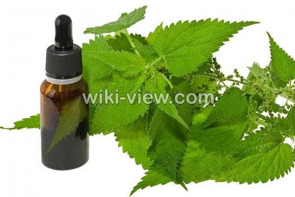 روغن گزنه, خواص روغن گزنه, مضرات روغن گزنه, طبع روغن گزنه, روغن گزنه برای مو, روغن گزنه برای پولیپ بینی, روغن گزنه برای ریش روغن گزنه, خواص روغن گزنه, مضرات روغن گزنه, طبع روغن گزنه, روغن گزنه برای مو, روغن گزنه برای پولیپ بینی, روغن گزنه برای ریش