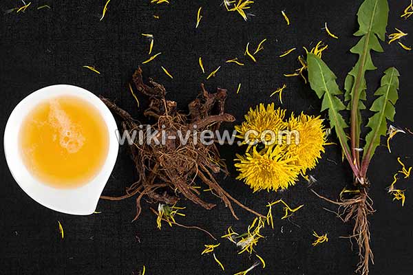 ریشه قاصدک, ریشه قاصدک برای چی خوبه, مضرات ریشه قاصدک, ریشه قاصدک برای لاغری, چای ریشه قاصدک برای چی خوبه, ریشه قاصدک برای چاقی, ریشه قاصدک و سرطان, تنتور ریشه قاصدک, مصرف ریشه قاصدک در بارداری ریشه قاصدک, ریشه قاصدک برای چی خوبه, مضرات ریشه قاصدک, ریشه قاصدک برای لاغری, چای ریشه قاصدک برای چی خوبه, ریشه قاصدک برای چاقی, ریشه قاصدک و سرطان, تنتور ریشه قاصدک, مصرف ریشه قاصدک در بارداری
