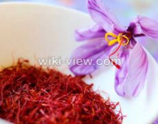 زعفران : خواص, مضرات و طبع / زعفران برای قلب, زنان, کبد و سرماخوردگی